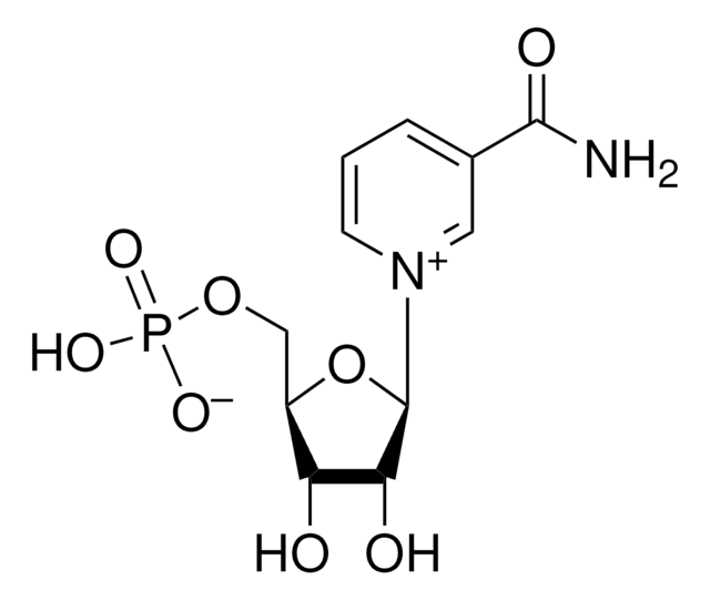 &#946;-Nicotinamide mononucleotide &#8805;95% (HPLC)