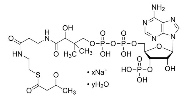 Acetoacetyl coenzyme&#160;A sodium salt hydrate cofactor for acyl transfer