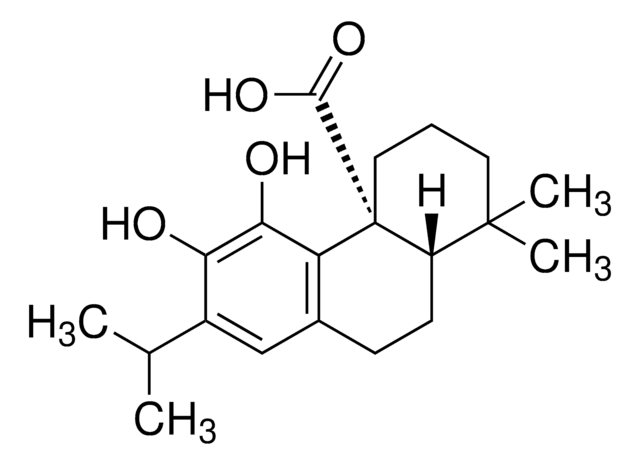 Carnosic acid from Rosmarinus officinalis &#8805;91%, powder