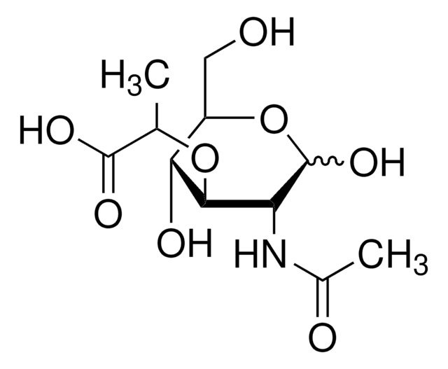 N-Acetylmuramic acid &#8805;98%