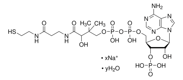辅酶 A 钠盐 水合物 cofactor for acyl transfer