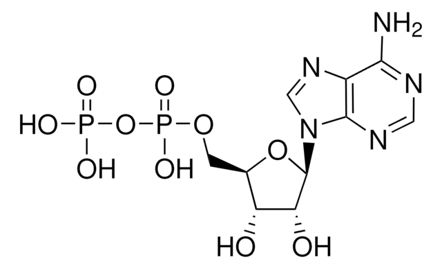 Adenosine 5&#8242;-diphosphate &#8805;95% (HPLC)