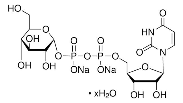 Uridine 5&#8242;-diphosphoglucose disodium salt hydrate from Saccharomyces cerevisiae &#8805;98%