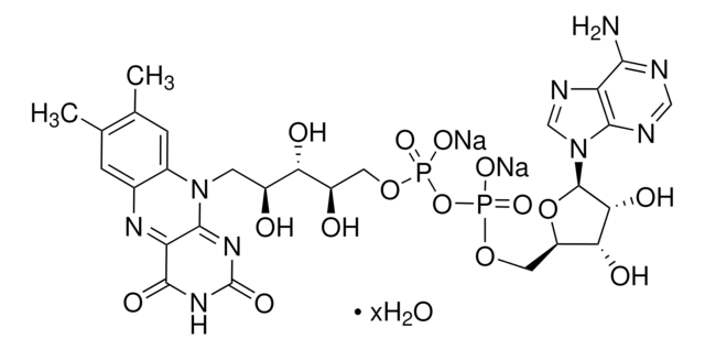 黄素腺嘌呤二核苷酸 二钠盐 水合物 &#8805;95% (HPLC), powder