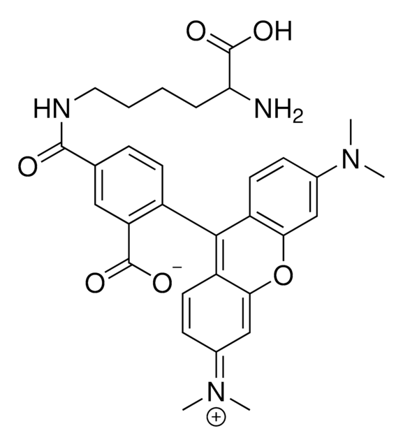 Rhodamine labeled D-Lysine Suitable for fluorescent microbial imaging