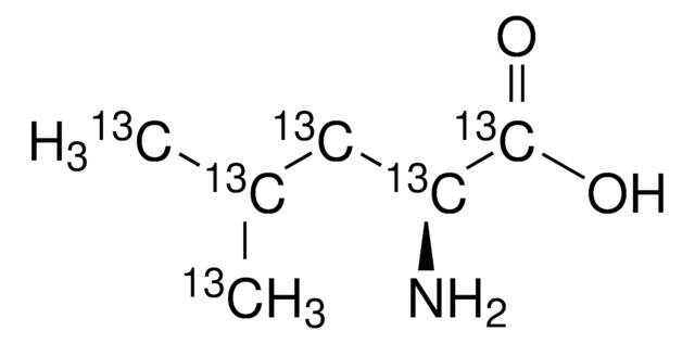 L-Leucine-13C6 98 atom % 13C, 95% (CP)