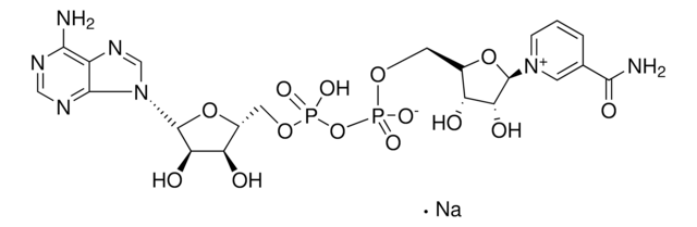 &#946;-烟酰胺腺嘌呤二核苷酸 钠盐