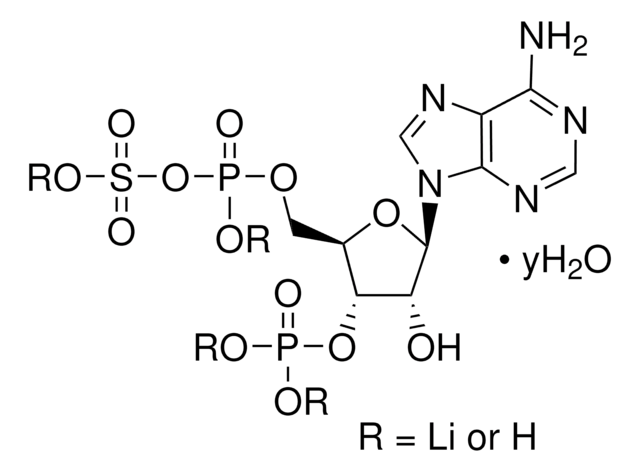 Adenosine 3&#8242;-phosphate 5&#8242;-phosphosulfate lithium salt hydrate &#8805;60%