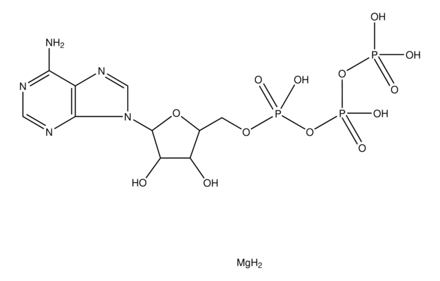 Adenosine 5&#8242;-triphosphate 镁盐 &#8805;95%, bacterial