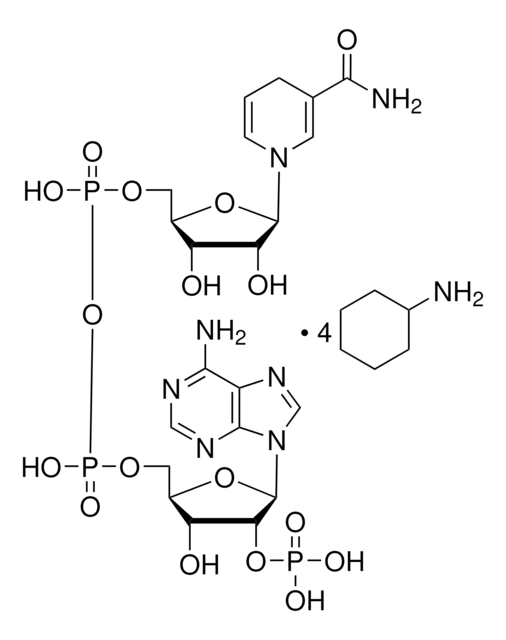 &#946;-Nicotinamide adenine dinucleotide phosphate, reduced tetra(cyclohexylammonium) salt &#8805;93%