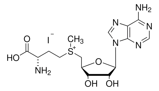 S-(5&#8242;-腺苷)-L-甲硫氨酸碘盐 &#8805;80% (HPLC), &#8805;80% (spectrophotometric assay)