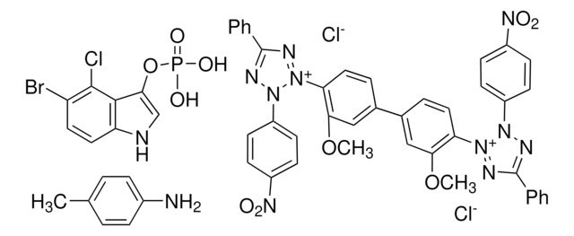 NBT-BCIP&#174; 溶液 BioReagent, suitable as substrate for alkaline phosphatase in dot blots