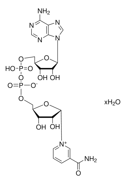 &#946;-Nicotinamide adenine dinucleotide hydrate &#8805;96.5% (HPLC), &#8805;96.5% (spectrophotometric assay), from yeast