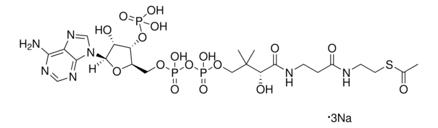 乙酰辅酶A 三钠盐 &#8805;93% (HPLC), powder