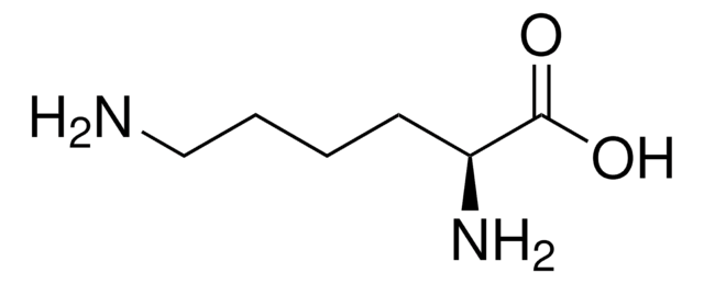 L-Lysine Vetec&#8482;, reagent grade, &#8805;98%