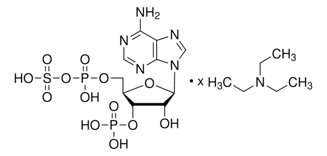 Adenosine 3&#8242;-phosphate 5&#8242;-phosphosulfate triethylammonium salt &#8805;90.0% (HPLC)
