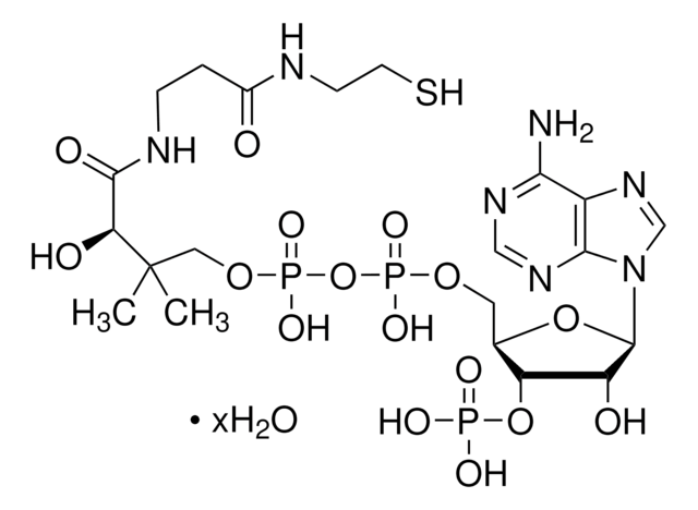辅酶 A 水合物 &#8805;85% (UV, HPLC)