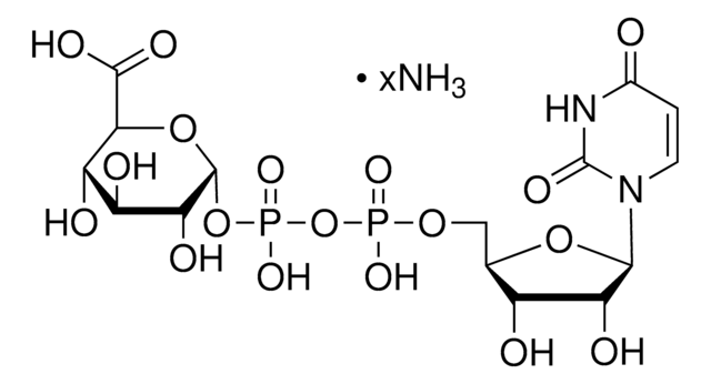Uridine 5&#8242;-diphosphoglucuronic acid ammonium salt 98-100%