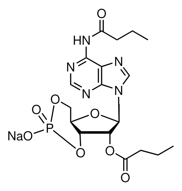 N6,2&#8242;-O-Dibutyryladenosine 3&#8242;,5&#8242;-cyclic monophosphate sodium salt &#8805;96% (HPLC), powder
