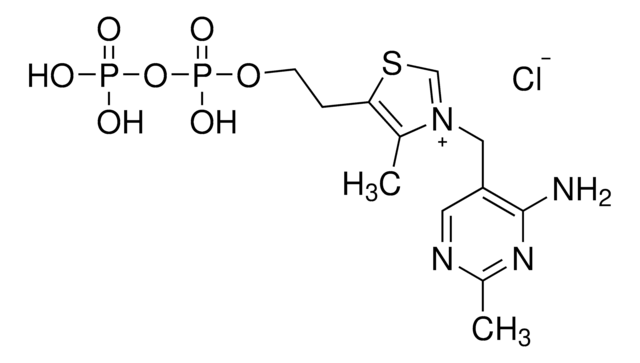 硫胺素焦磷酸 &#8805;95%