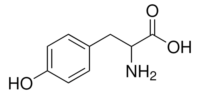 DL-酪氨酸 99%