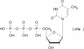 胸腺嘧啶核苷5′-三磷酸 钠盐 溶液 10&#160;mM (pH 7.0)
